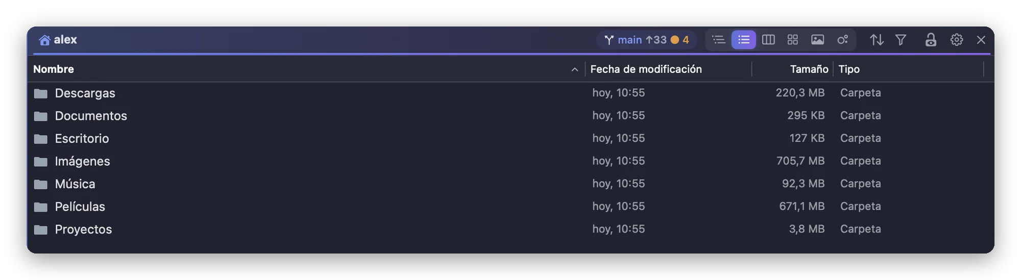Un panel de Folia Files en vista de lista, con el tamaño de cada carpeta ya calculado