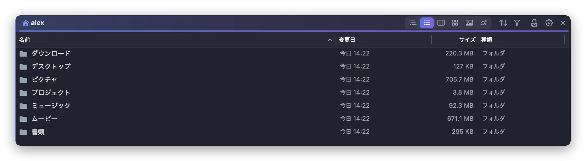 リスト表示のFolia Filesのパネル。各フォルダのサイズがすでに計算されている