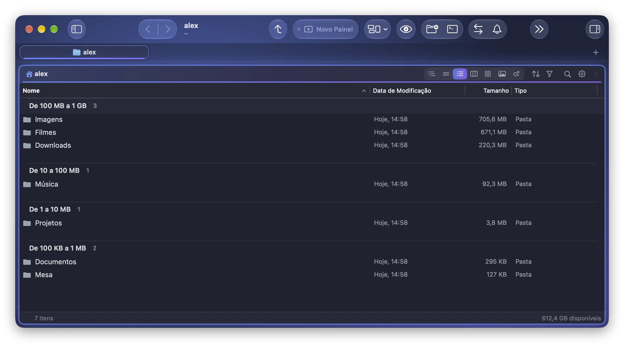 A mesma Pasta Pessoal agrupada por tamanho no Folia Files: Imagens, Filmes e Downloads em De 100 MB a 1 GB, Música em De 10 a 100 MB