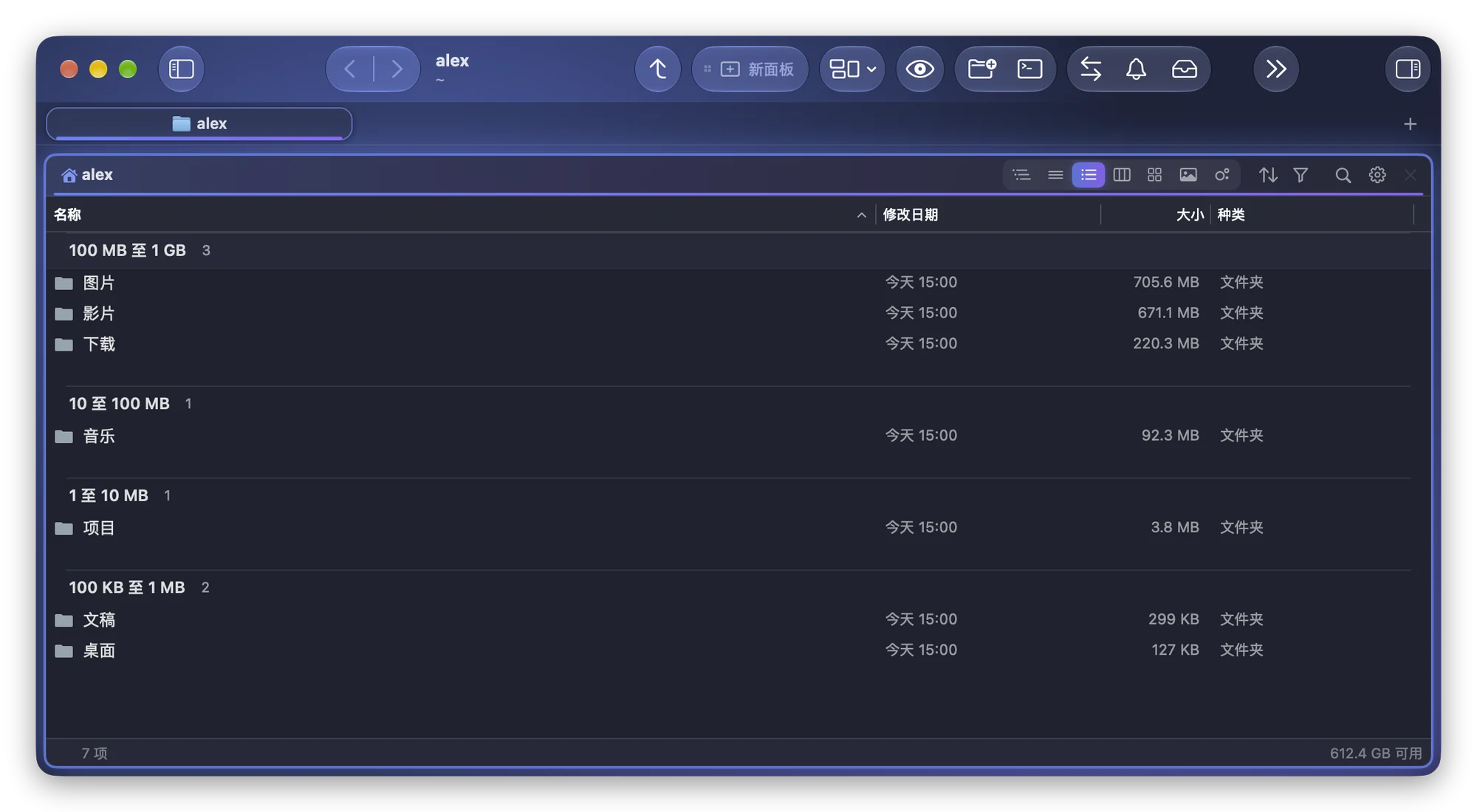 在 Folia Files 中按大小分组的同一个人文件夹：图片、影片和下载在“100 MB 至 1 GB”，音乐在“10 至 100 MB”