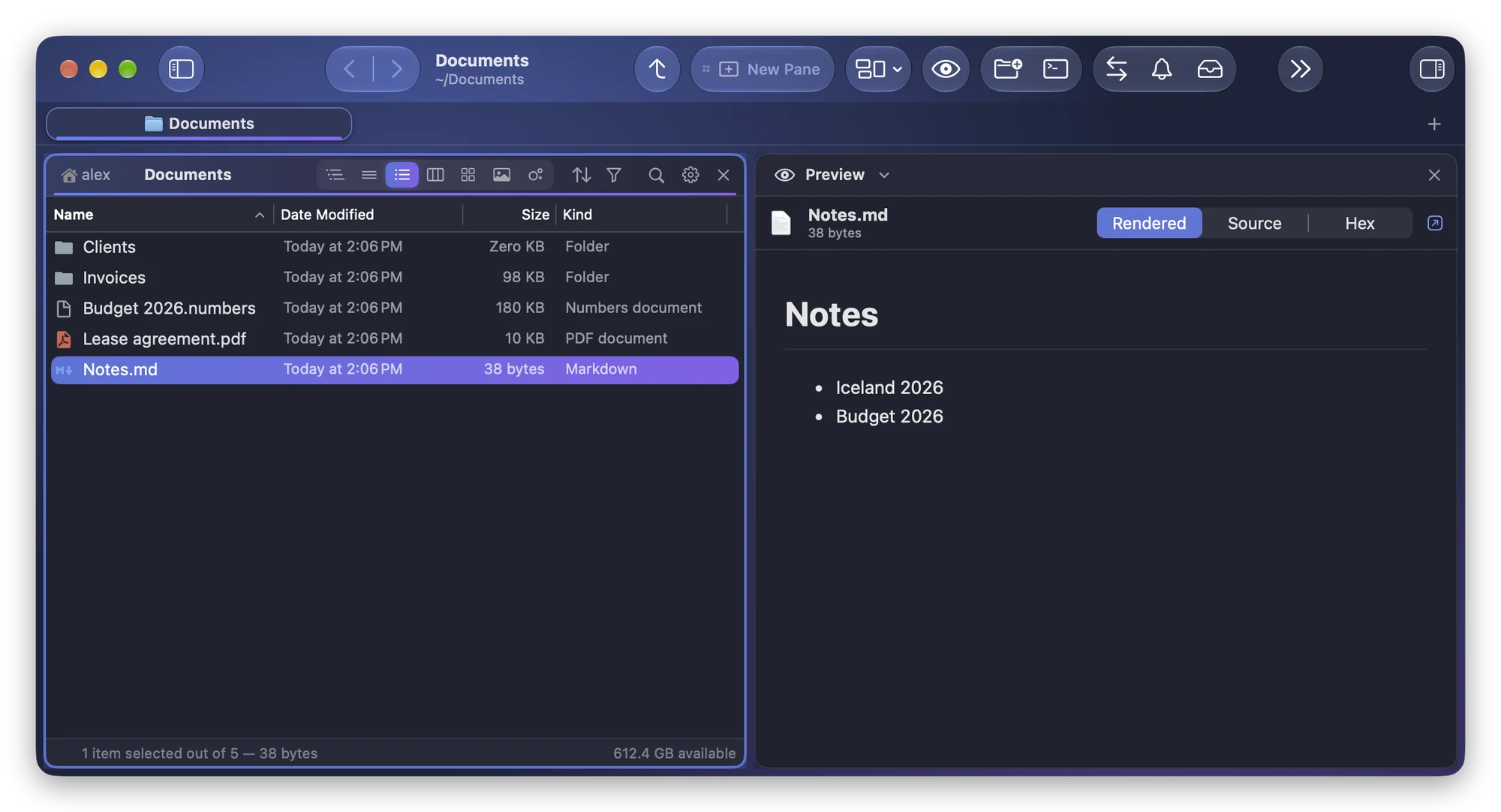 The Preview module of Folia Files showing Notes.md rendered, with a heading and a bulleted list, under the Rendered, Source and Hex buttons