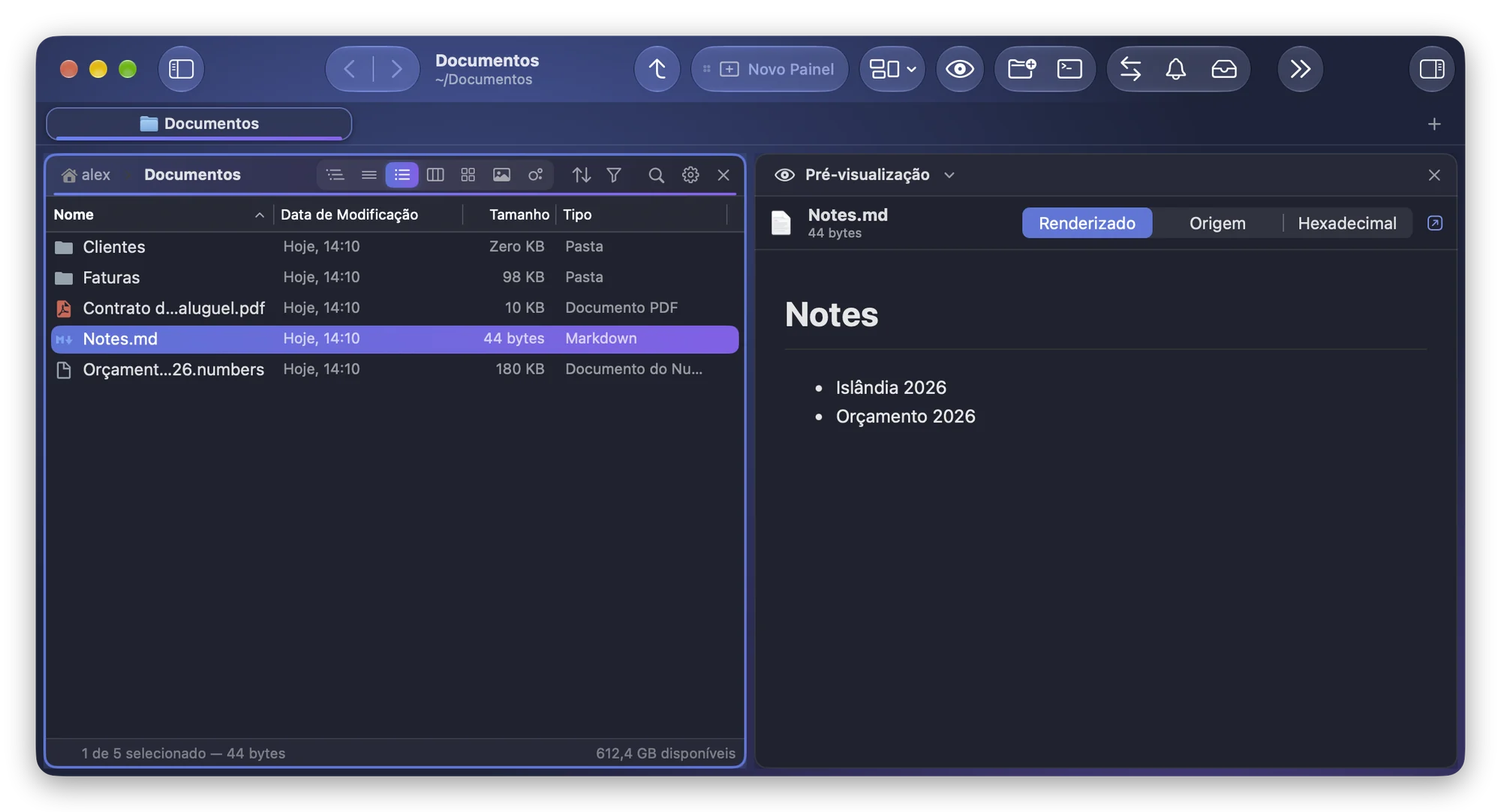 O módulo Pré-visualização do Folia Files mostra Notes.md renderizado, com um título e uma lista com marcadores, sob os botões Renderizado, Origem e Hexadecimal