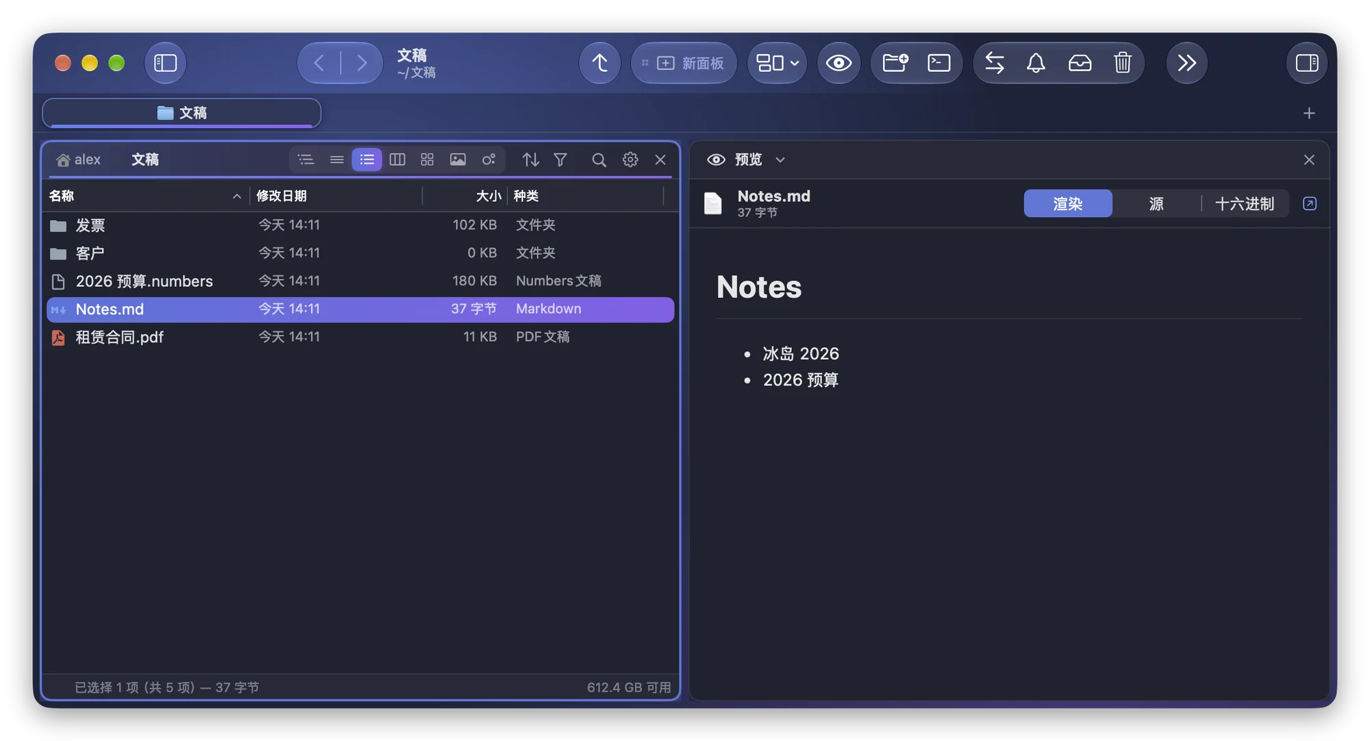 Folia Files 的“预览”模块在“渲染”“源”“十六进制”按钮下方显示渲染后的 Notes.md，包括一个标题和一个项目符号列表
